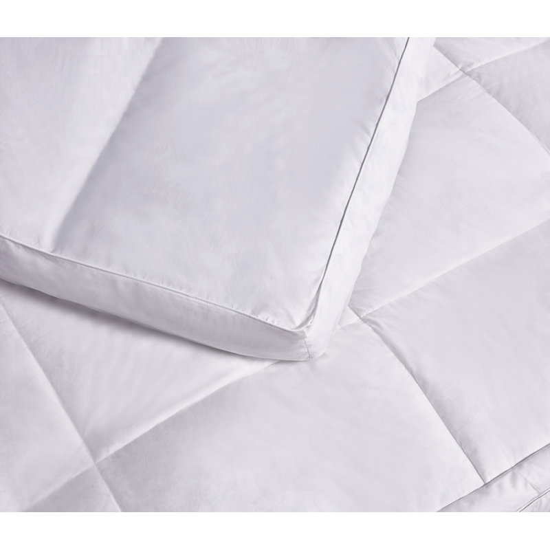 Blue Ridge Home Fashion 233 Thread Count Down PillowTop Featherbed & Reviews Wayfair